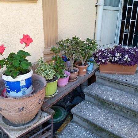 Once Upon In Old Tbilisi Apartment Екстериор снимка